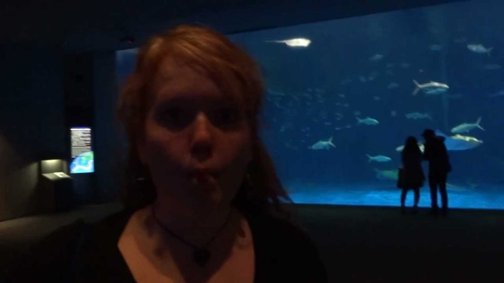 The Big Tank at Kagoshima Aquarium in Japan