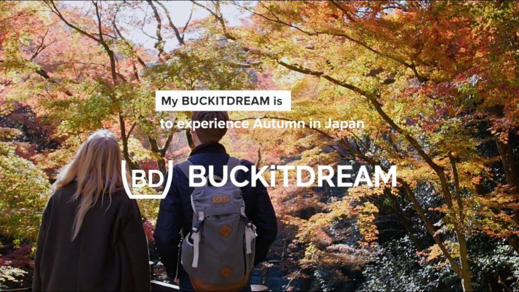 Have You Ever Wanted To Experience Autumn in Japan?