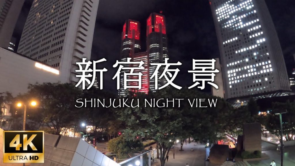 [4K] 新宿夜景 / TOKYO NIGHT VIEW in SHINJUKU