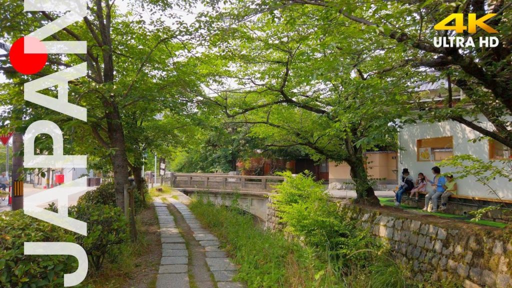 Kyoto Walking Tour 哲学の道 Tetsugaku no Michi [4K] 🇯🇵 2020 Virtual Tour (ASMR) Japan