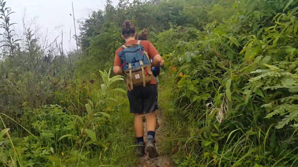 Kathmandu Day-trip around Kathmandu - Hike to Shivapuri National Park through NagiGompa