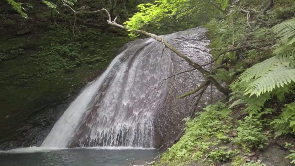 【札幌市・乙女の滝】DJI Osmo Pocket -Walk around Maiden Falls in Sapporo