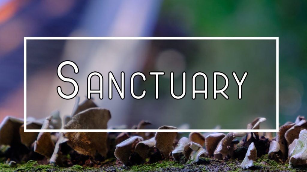 Sanctuary | JAPAN | Cinematic Travel Video | fujifilm Part 4