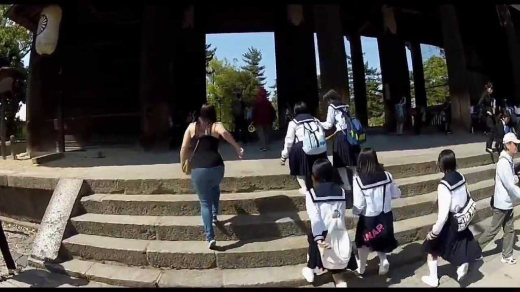 Japan Trip (Tokyo, Osaka, Kyoto, Nara and Miyajima)