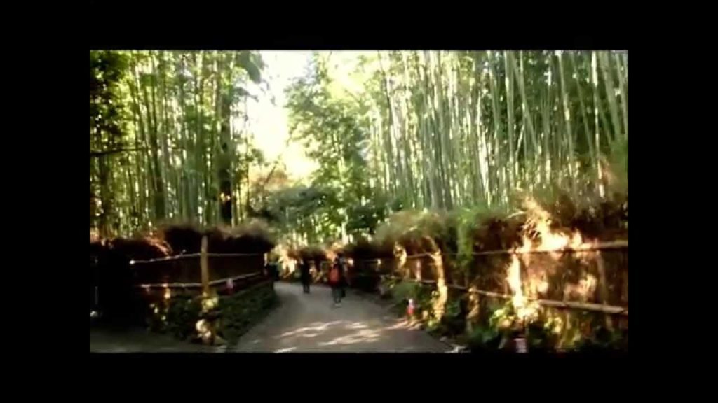 Arashiyama and Sagano 2/3  2014.December 嵐山嵯峨野