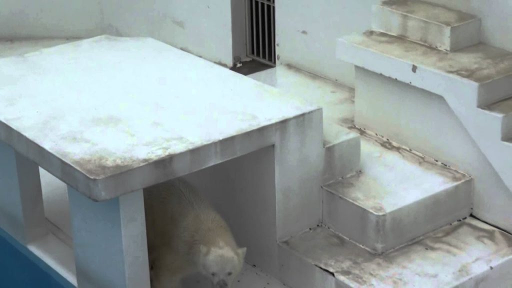 Marle's "Perpetuum mobile", at Kumamoto City Zoological and Botanical Gardens, Japan