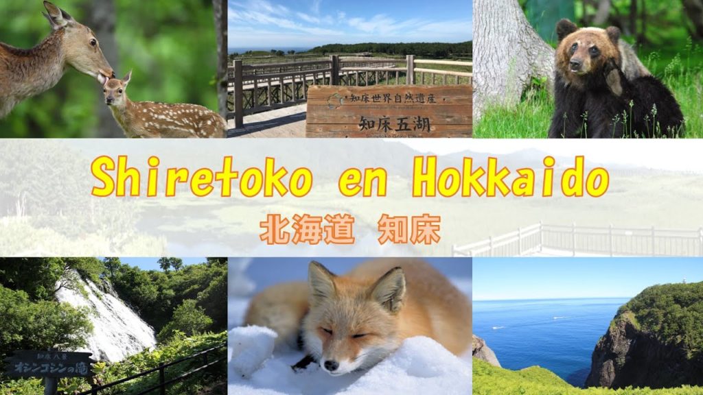Shiretoko en Hokkaido（北海道 知床）