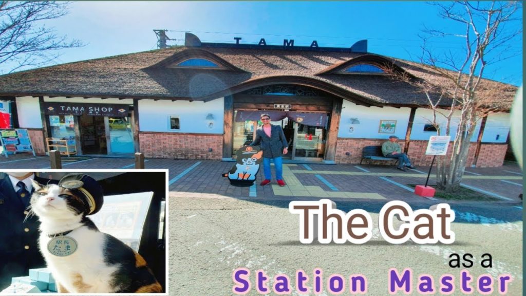 Interesting Facts About Japan||The Cat As A Station Master||Cat Theme Cafe||Foreigner In Japan.