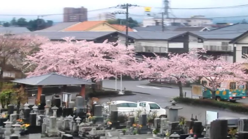 Spring 2015: Hakone to Kawaguchiko