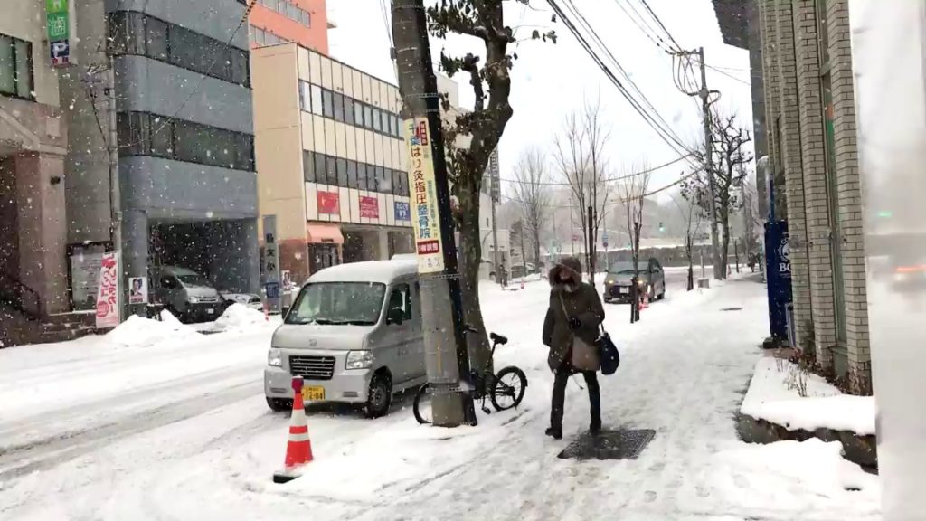 Snowfall | SAPPORO | HOKKAIDO Snowfall | SAPPORO | HOKKAIDO