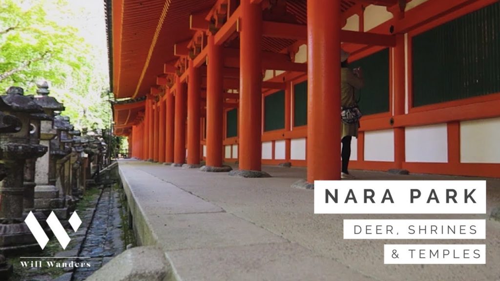 NARA PARK DEER TEMPLES AND SHRINES | Nara Japan | Will Wanders Travel Vlog