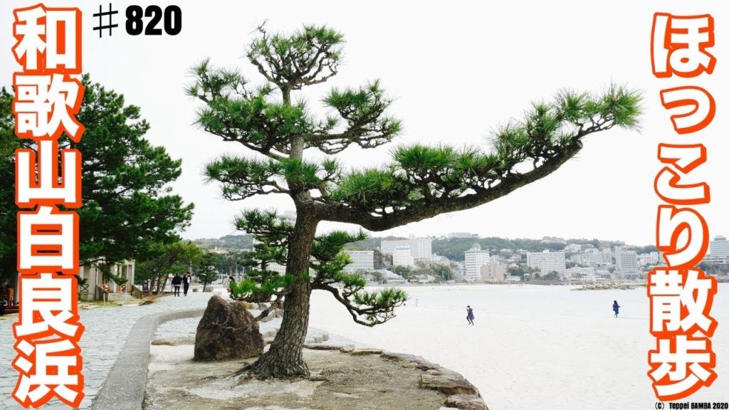 和歌山白良浜散歩 エディーさんに遭遇？！