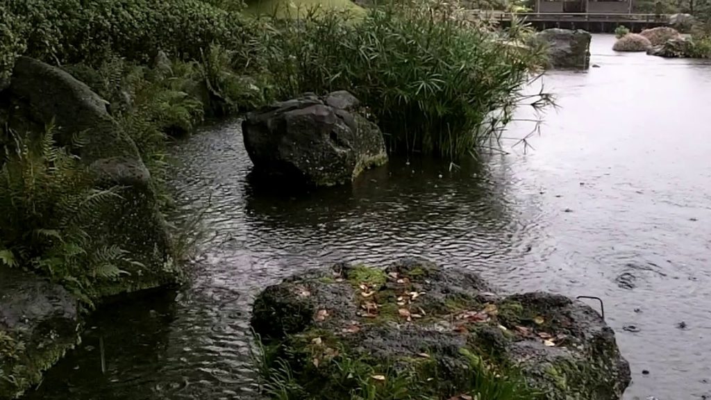 Shizuoka castle and a little crab in the rain. Shizuoka castle and a little crab in the rain.