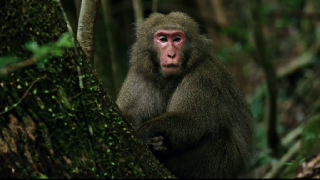 Tokyo Travel Guide | Travel better in JAPAN! Tokyo Travel Guide | Travel better in JAPAN!