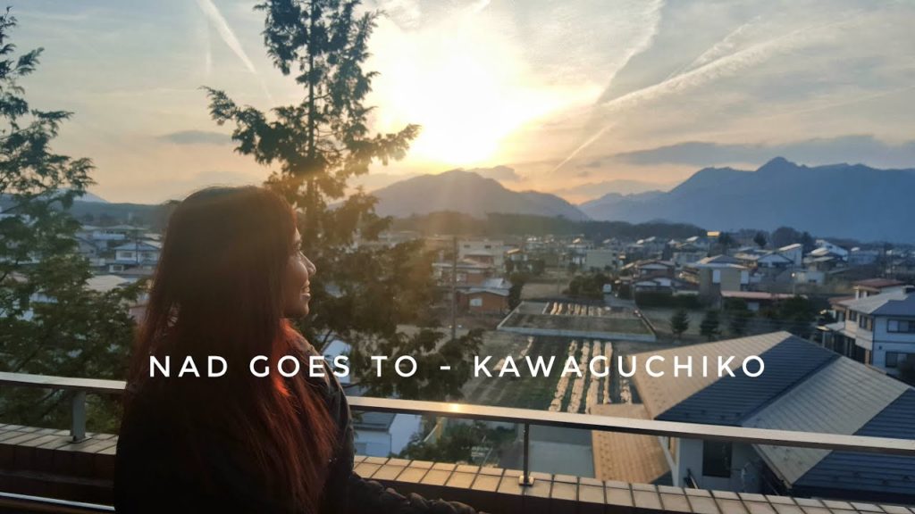 From Tokyo to Mt Fuji.. well, almost | Nad Vlogs Japan Day 5