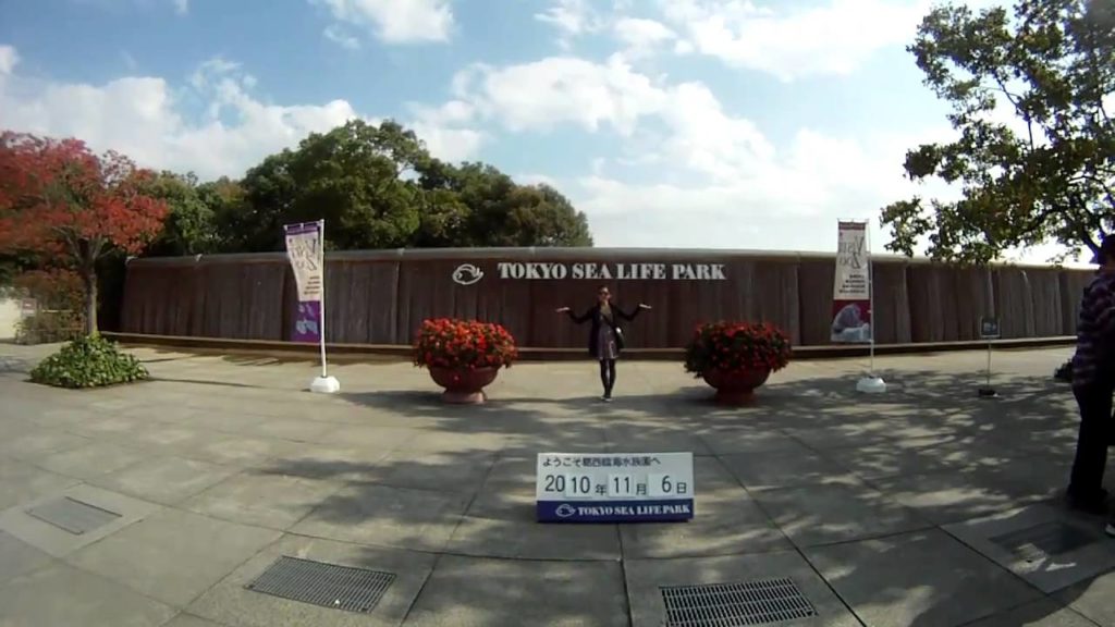 JAPAN Trip 2010 - Part 4: We love penguins/Tokyo Sea Life Park!