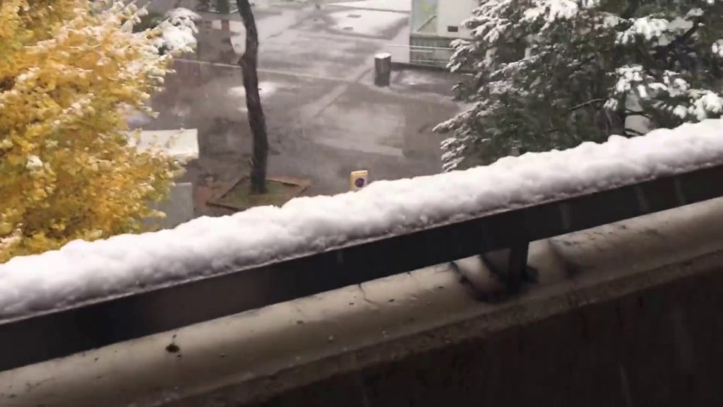 Snow falling at Tokyo University of Agriculture and Technology, Koganei campus in November 24, 2016