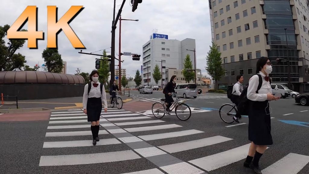 Countryside walk/जापान में ब्लॉग चलना /slow tv style,virtual walking tour in Japan 4K POV/May 2020