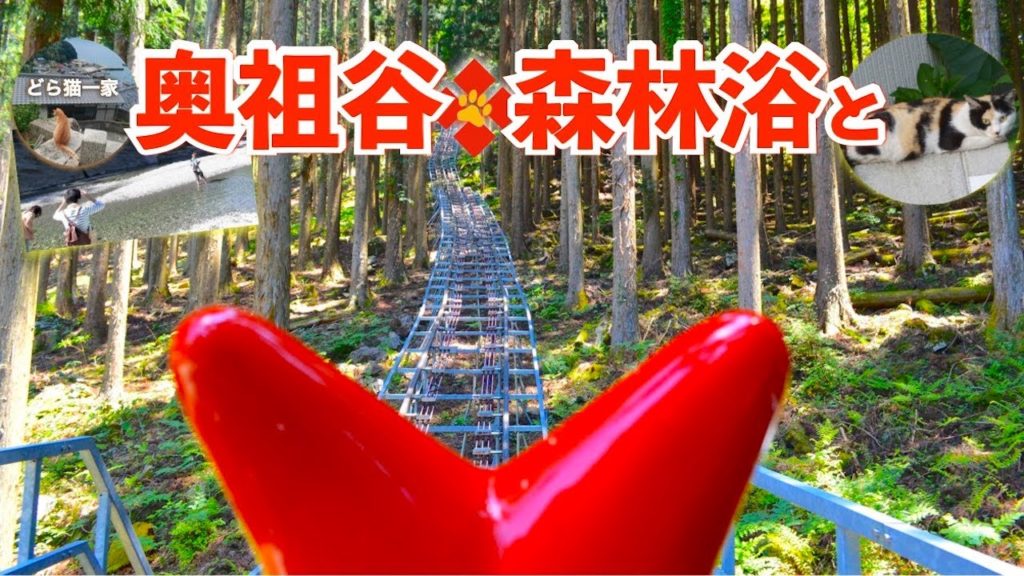 【徳島県】奥祖谷観光周遊モノレール | 我が家の旅記録【父と母の初四国編 1 】 【徳島県】奥祖谷観光周遊モノレール | 我が家の旅記録【父と母の初四国編 1 】