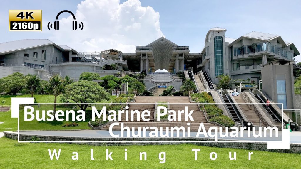 [4K/Binaural Audio] Busena Marine Park / Churaumi Aquarium Walking Tour - Okinawa Japan