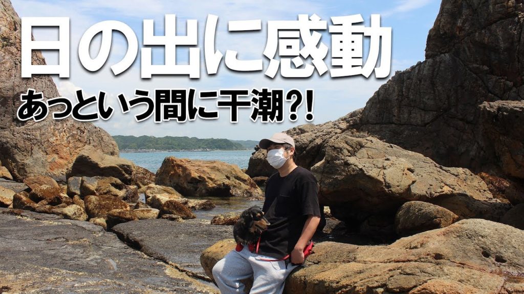 絶景の日の出を5秒タイムラプスで！干潮時に橋杭岩まで歩く！【関西への旅67】