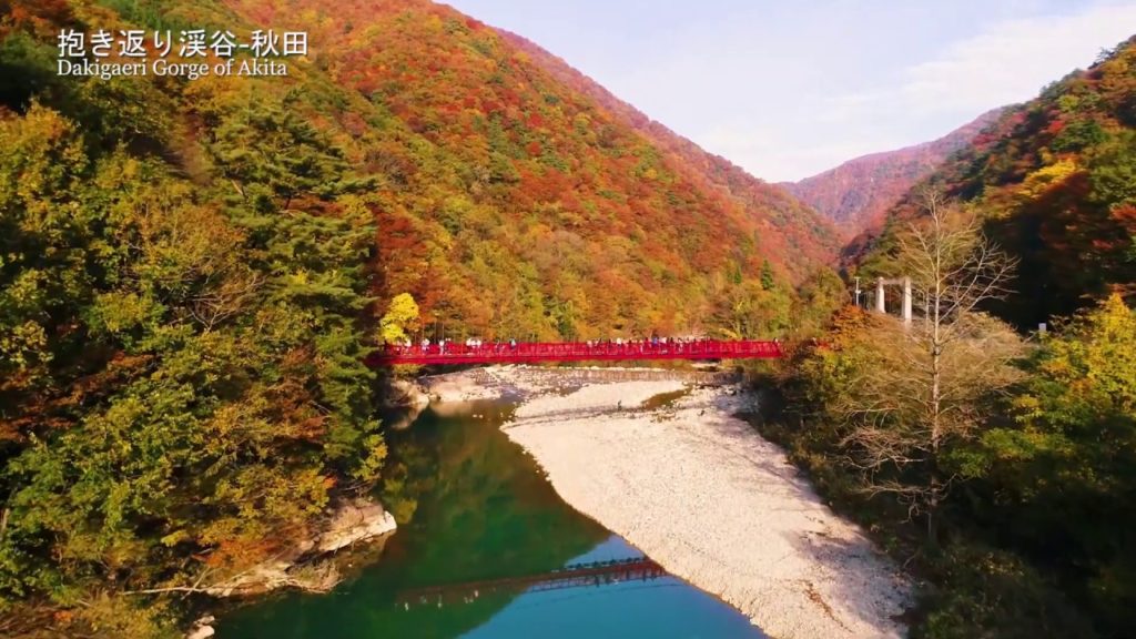 The Beauty of Autumn in Japan II Tohoku region, Japan Halal TV