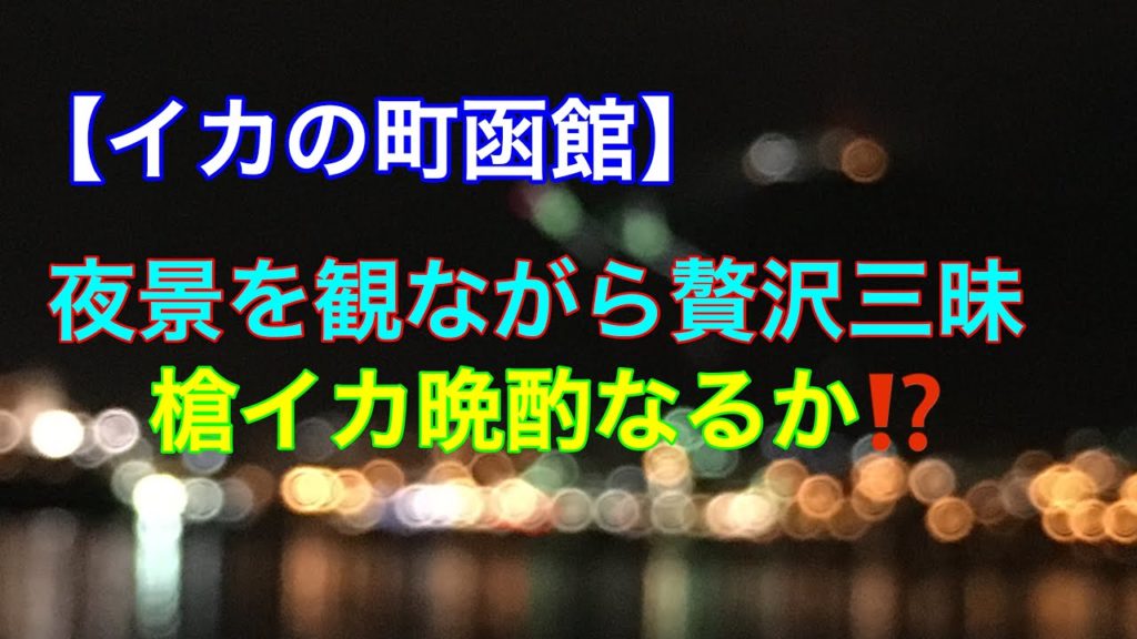 【イカの町函館】気軽にイカ釣り❗️夜景を観ながら贅沢な釣り。