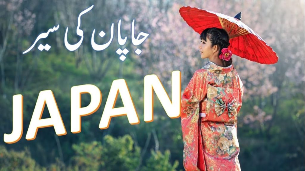 Japan virtual Tour 4K