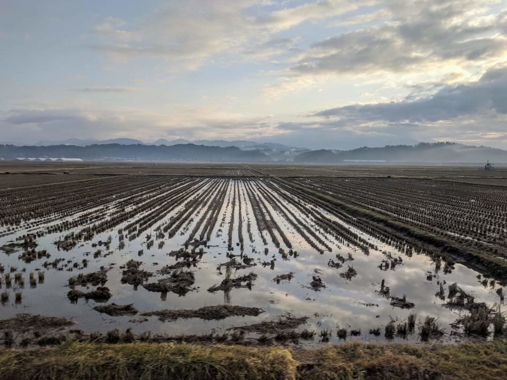 Early morning in the inaka