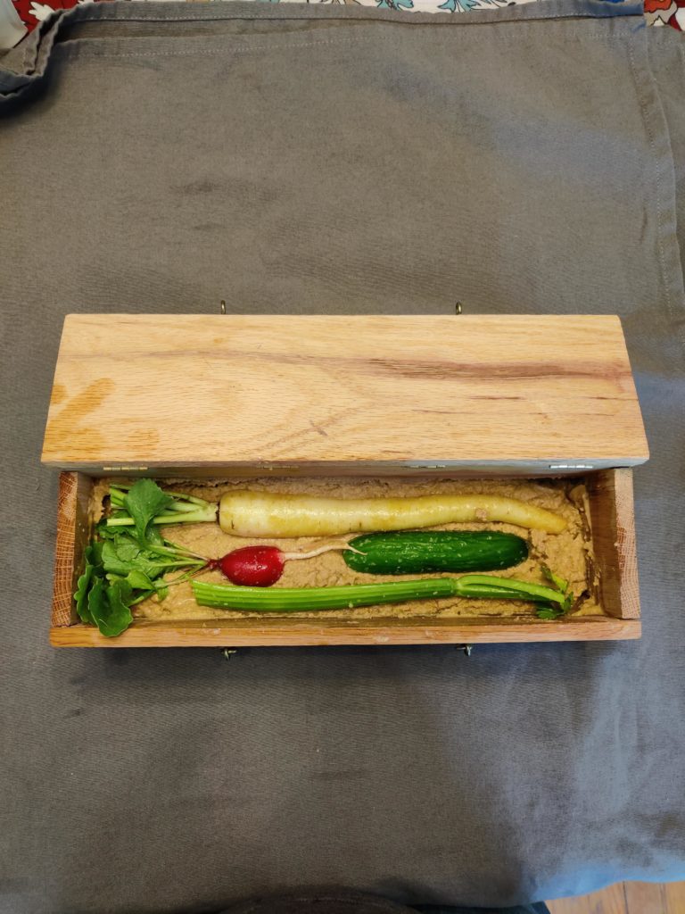 My Nukabox. Anyone else making Nukazuke?