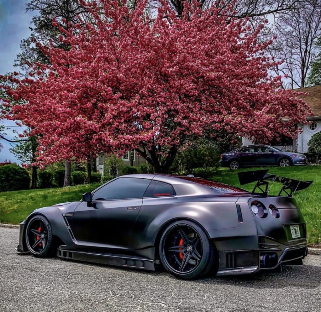 Even fast cars like to stop and smell the flowers every now and then #NissanGTR
...