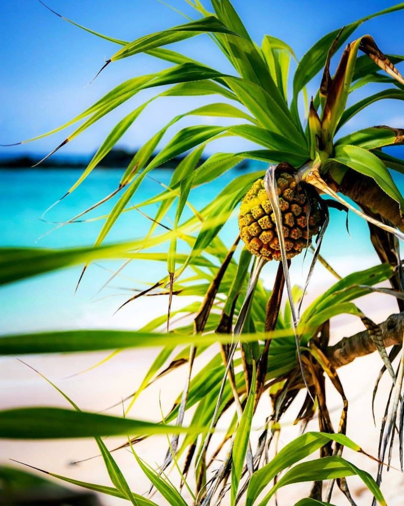 We love being able to share different glimpses into Japan on our Instagram - and...