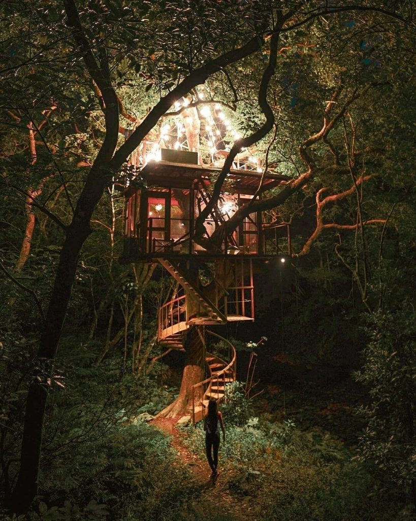 Step away from the world and into nature at @treeful.treehouse in Nago City in ...