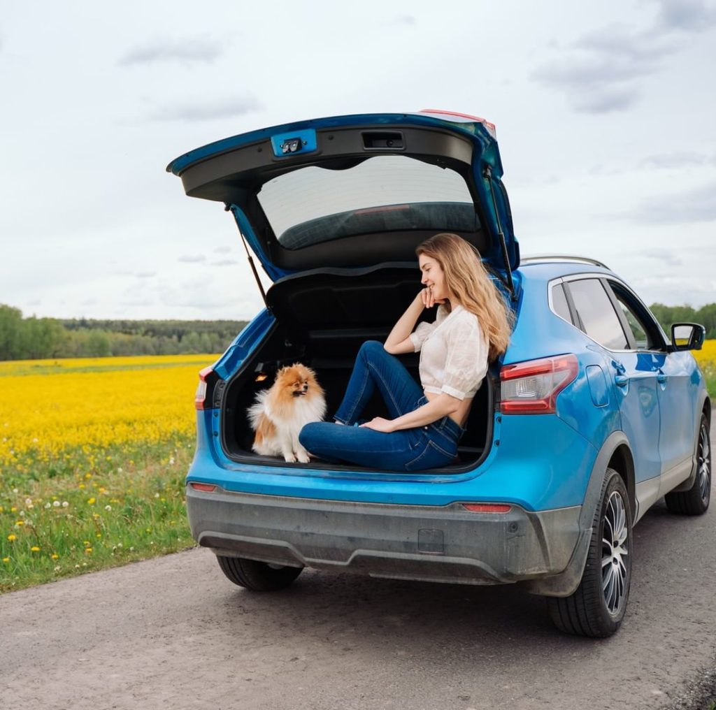 Pop the trunk & pop a squat for a #pawfect picnic spot! #NissanRogue
 @yummy_sup...