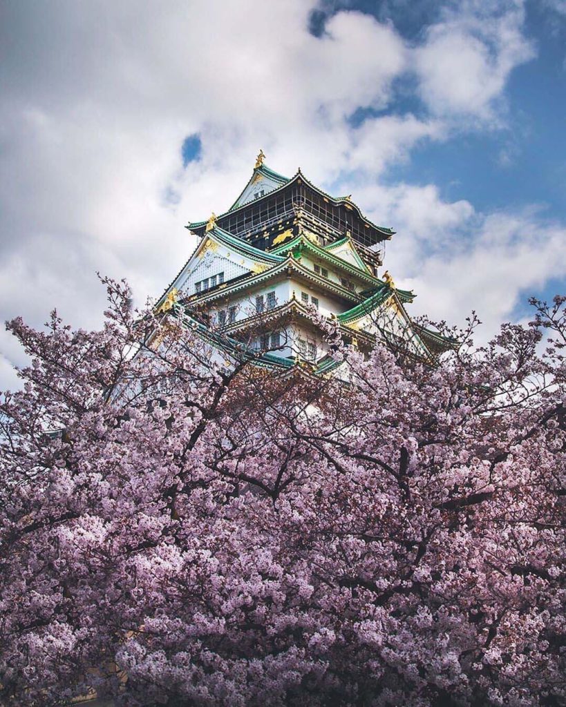 Located west of Osaka Castle you will find the Nishinomaru Garden that features ...