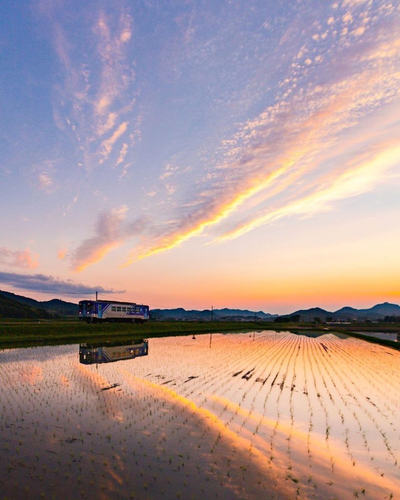 Have you ever seen such a beautiful sunset? Look closely and you'll find a local...