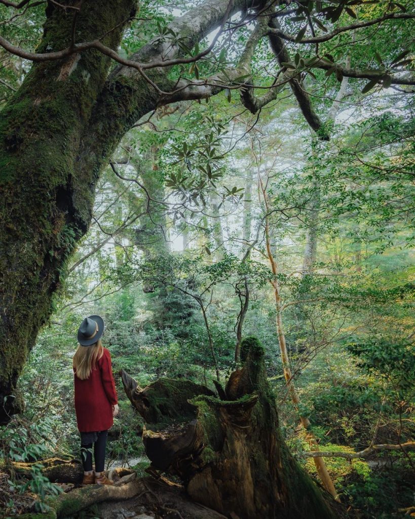 Visit Japan: Welcome to July’s Wanderlust Wednesday!
We’re looking forward to hearing about… Welcome to July’s Wanderlust Wednesday!
We’re looking forward to hearing about...