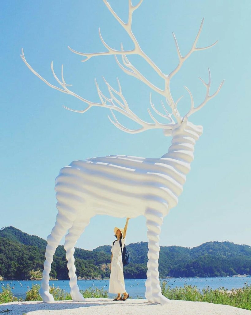 Visit Japan: Night and day captures of the White Deer (Oshika) in Oginohama, Miyagi Prefectur… Night and day captures of the White Deer (Oshika) in Oginohama, Miyagi Prefectur...