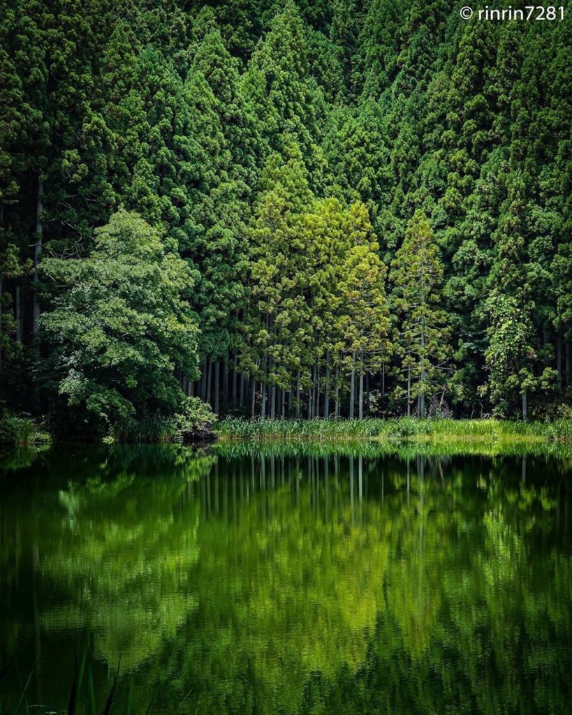 Visit Japan: Look at all of this greenery! Ryuogabuchi Pond in Nara Prefecture is a natural p… Look at all of this greenery! Ryuogabuchi Pond in Nara Prefecture is a natural p...