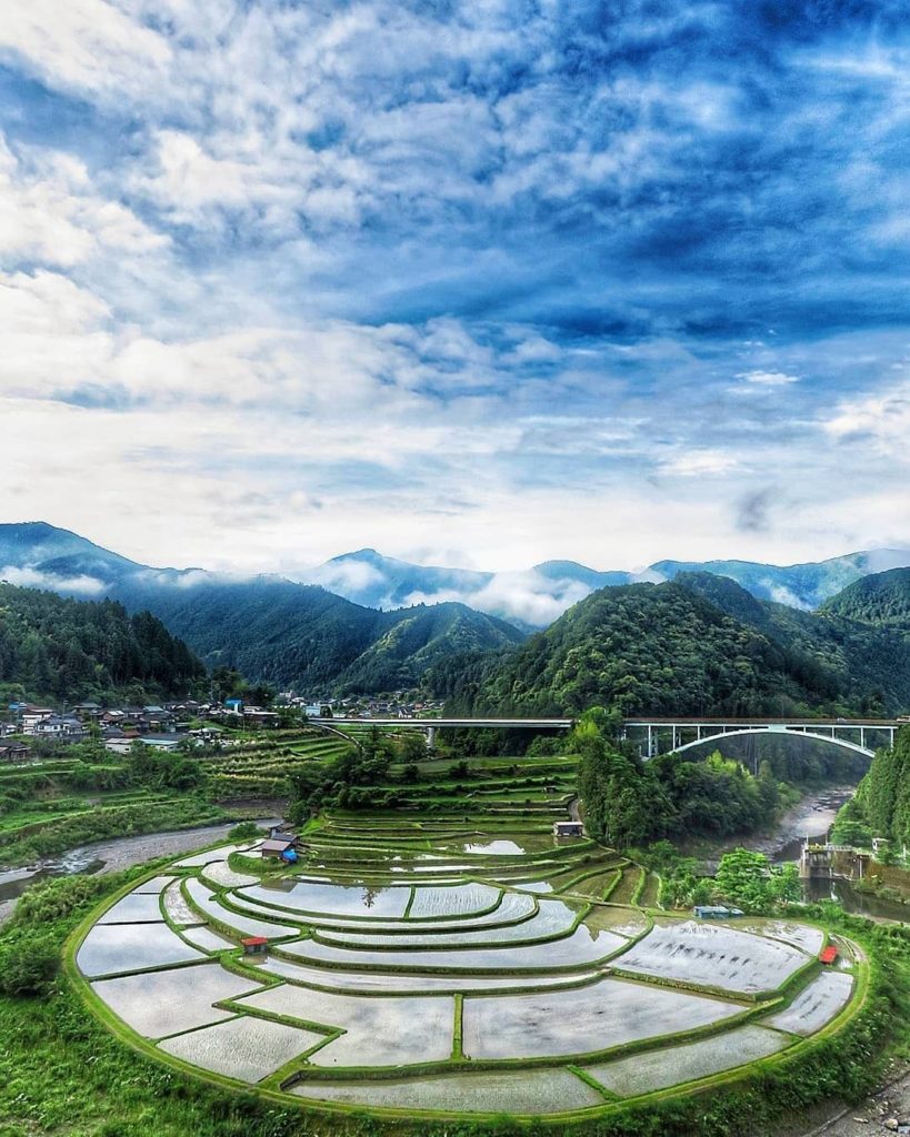 Visit Japan: It’s no wonder Aragi-jima Island Rice Terraces in Wakayama Prefecture have been … It's no wonder Aragi-jima Island Rice Terraces in Wakayama Prefecture have been ...