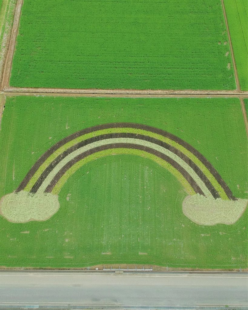 Somewhere over the rainbow.  Tsubame City in Niigata Prefecture has been creatin...