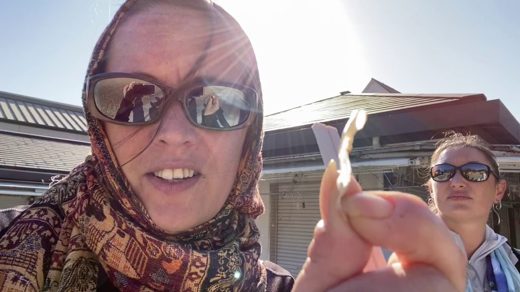 India Trip – Day 23 – 13 hour layover in Narita, Japan India Trip - Day 23 - 13 hour layover in Narita, Japan