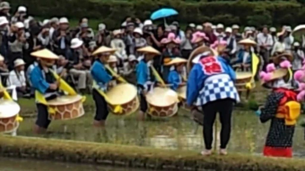 OKAYAMA-KORAKUEN TRADITIONAL RICE-PLANTING FEST.