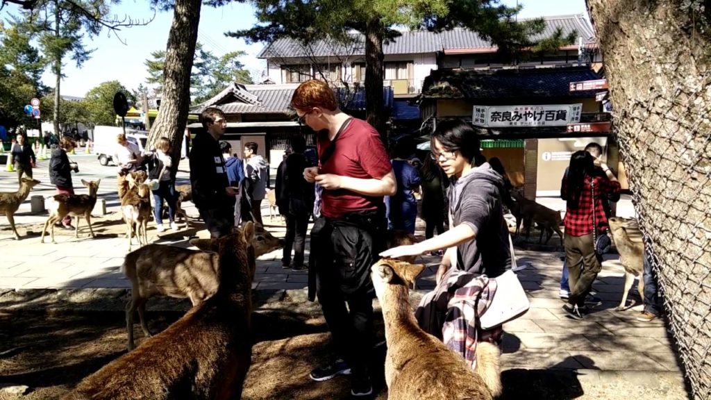 Japan Trip Vlog #10/Part 1 - A Morning in Nara