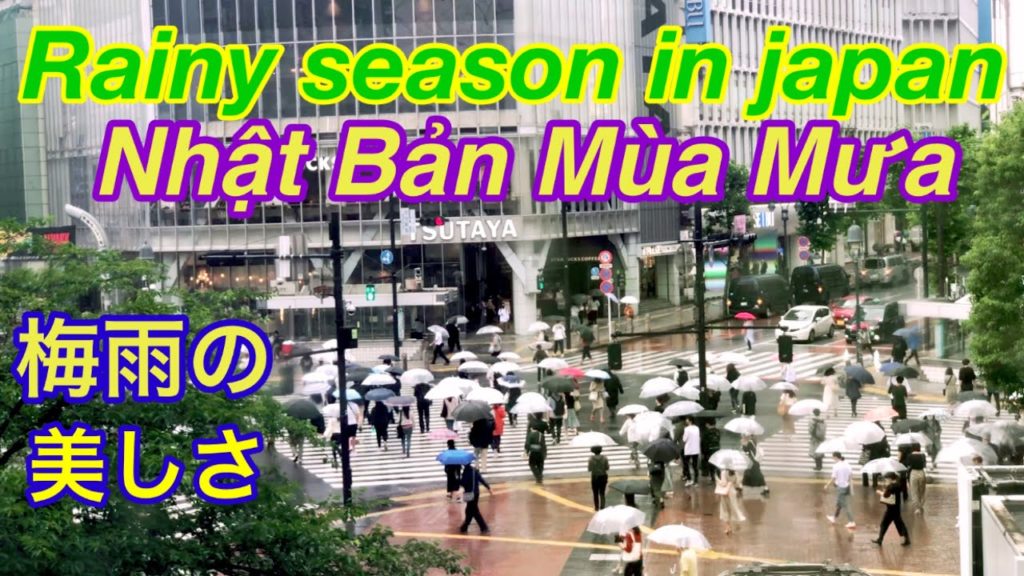 【4K】Tháng 7 Nhật Bản Mùa Mưa || Walking in the rain Tokyo (Relax) || 梅雨 || 東京旅行 || Việt Tokyo
