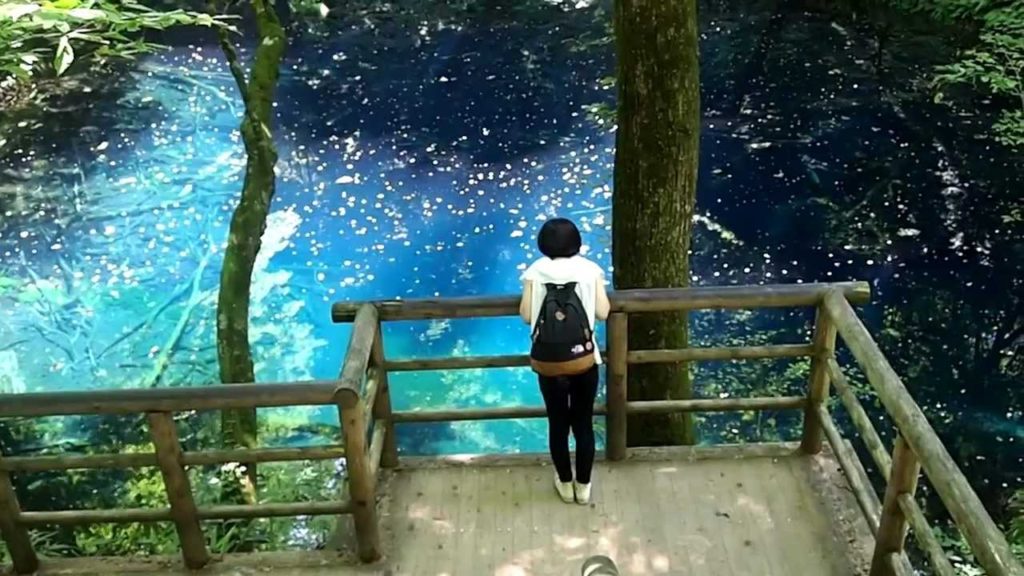 Japanese Armor Beetles, Aoike (Blue Pond), and Furofushi!