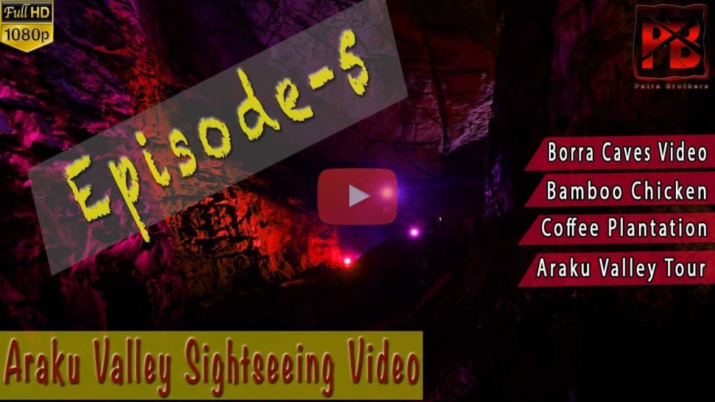 Episode - 5 | Borra Caves Videos | Borra Caves in Vizag | Araku Valley Sightseeing | Araku Tourism