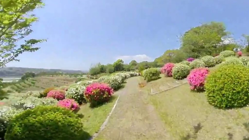 [360 Video] Tabaruzaka Park（田原坂公園）｜Kumamoto VR Walker