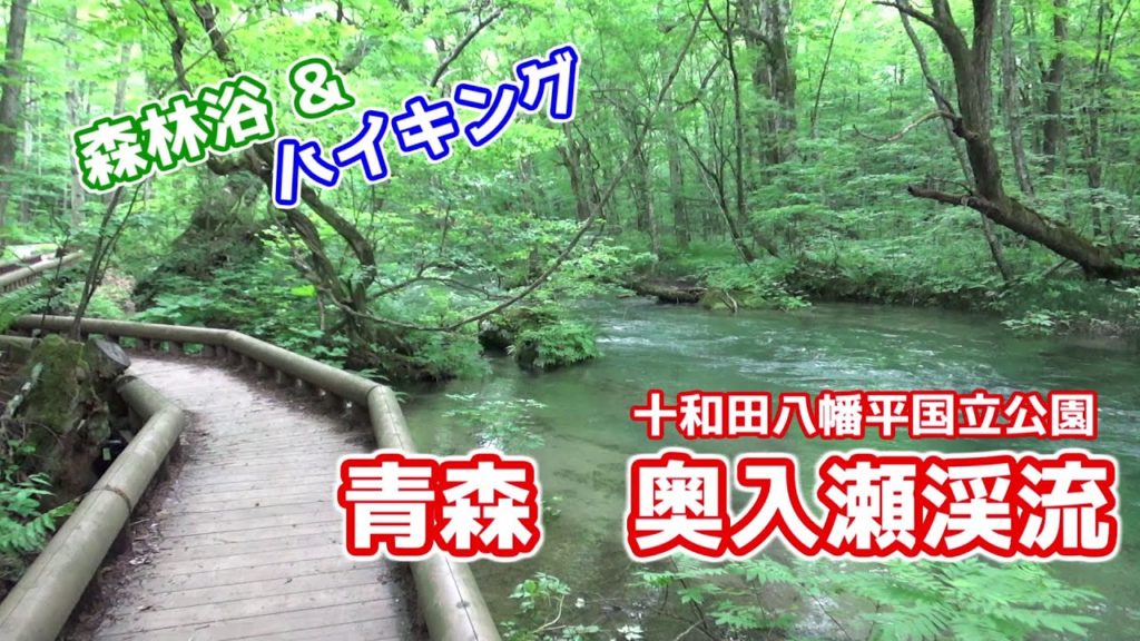 【青森】奥入瀬渓流 石ケ戸休憩所～雲井の滝 九段の滝 姉妹の滝 銚子大滝  Aomori Oirase Mountain stream