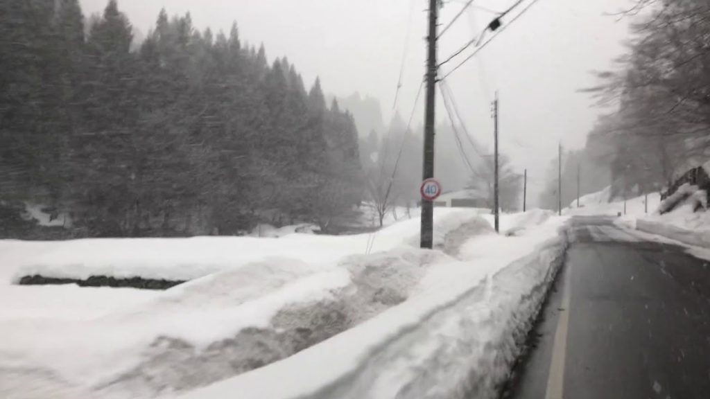 Snow fall in Nagano